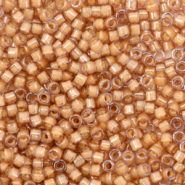Perline Miyuki Delica 11/0 Luminous almond brown DB-2043