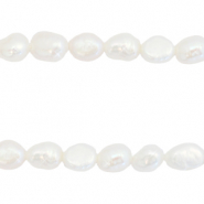 BQ Perle di acqua dolce pepita ovale 8x5-6mm bianco naturale