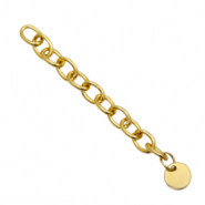 Componenti in acciaio inossidabile allungatrice con piastra rotonda 8mm oro