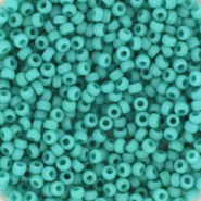 Rocailles Miyuki 11/0 Opaque matte turquoise green 11-412F
