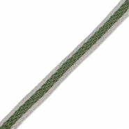 Nastro verde-argento