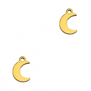 Ciondoli in acciaio inossidabile luna oro