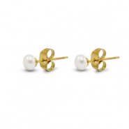 Orecchini in acciaio inossidabile perle 5mm oro-bianco perlato