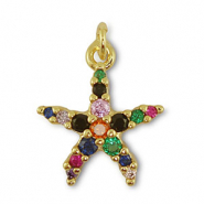 Metallo TQ in ottone ciondolo stella marina oro-multicolore