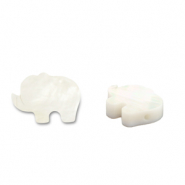 Perline di conchiglia elefante bianco (colore naturale)