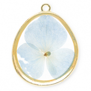 Ciondoli con fiore secchi a forma di uovo oro-blu chiaro