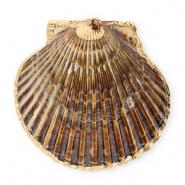Pendenti di conchiglia prodotti speciali conchiglia di capesante marrone scuro-oro