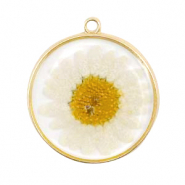 Perline / ciondoli Ciondoli e distanziatori con fiore secchi