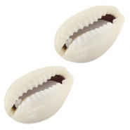 Perline di conchiglia Conchiglie ciprea