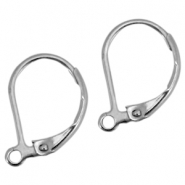 Orecchini in acciaio inossidabile/monachelletonde chiuse a molla argento 
