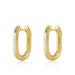 Orecchini in acciaio inossidabile zircone ovale 20x13.5mm oro