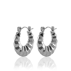Orecchini in acciaio inossidabil a cerchio 20mm argento