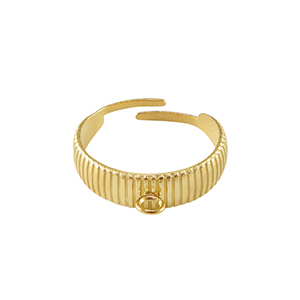 Anelli in acciaio inossidabile con anellino oro