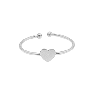 Anelli in acciaio inossidabile cuore argento