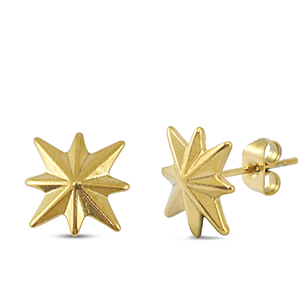 Orecchini in acciaio inossidabile stella oro