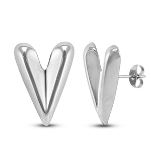 Orecchini in acciaio inossidabile a cuore argento