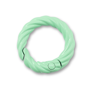 Componenti colorati anello bris&eacute; portachiavi verde menta