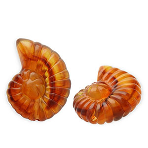 Perline in acrilico conchiglia marrone ambra